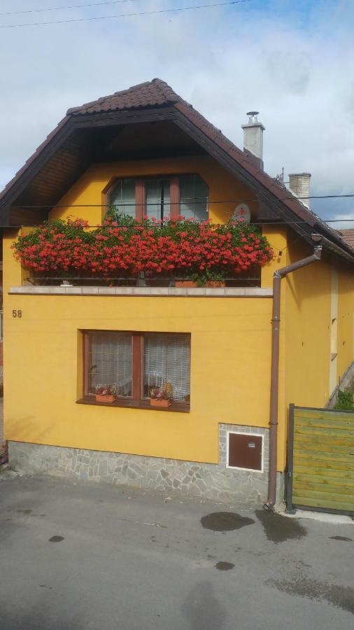 Privat U Zdenky Hotel Твърдошин Екстериор снимка